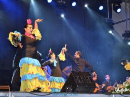 Festival de Folkore en Mula